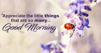 Image 0 for Good morning messages and…