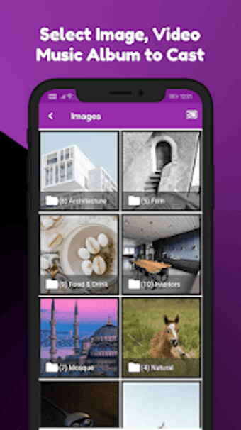 Image 1 for Roku Cast