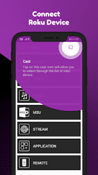 Image 3 for Roku Cast