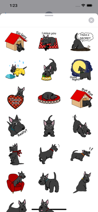 Image 1 for Cute Scottish Terrier Dog…