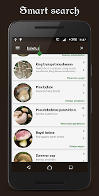 Imagen 0 para Book of Mushrooms