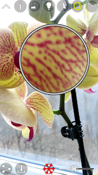 Imagen 2 para Magnifier & Contrast Enha…