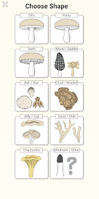 Image 3 for Shroomify - Mushroom Iden…
