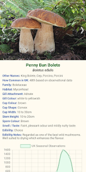 Image 1 for Shroomify - Mushroom Iden…