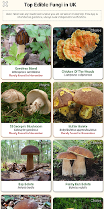 Image 1 for Shroomify - Mushroom Iden…