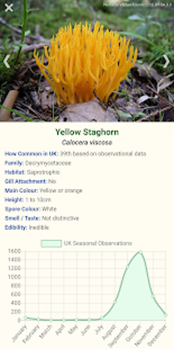 Image 2 for Shroomify - Mushroom Iden…