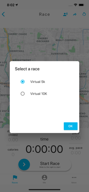 Image 3 for IYR Virtual