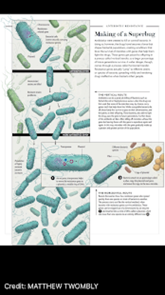 Image 3 for Scientific American