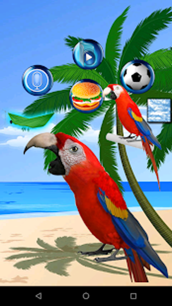 Imagen 3 para Talking Parrot 2