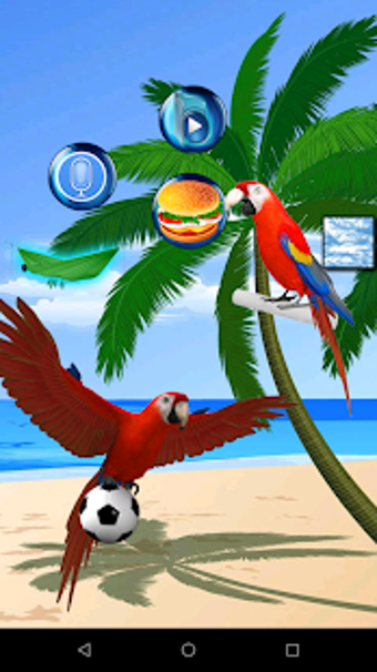 Imagen 0 para Talking Parrot 2