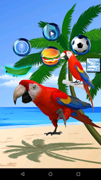 Imagen 2 para Talking Parrot 2