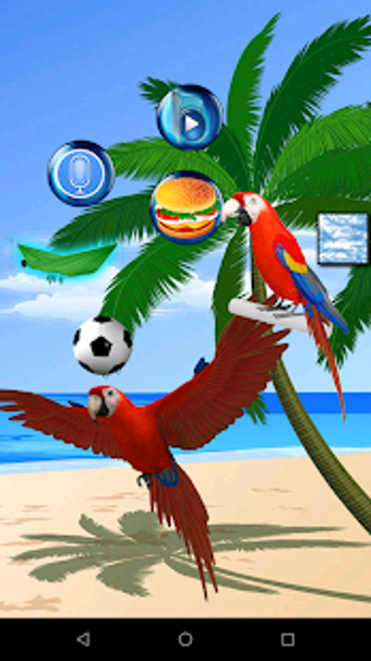 Imagen 1 para Talking Parrot 2