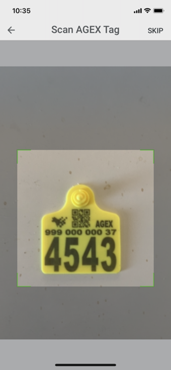 Image 1 for AGEX Herd