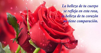 Imagen 0 para Poemas de amor con imagen…