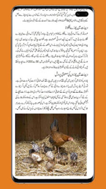 Image 0 for Poultry Farming in Urdu B…