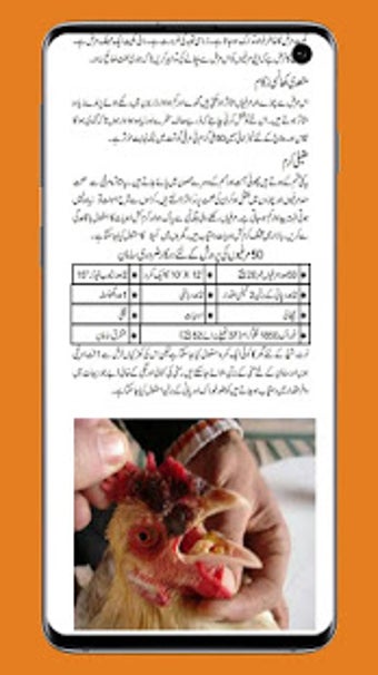 Image 3 for Poultry Farming in Urdu B…