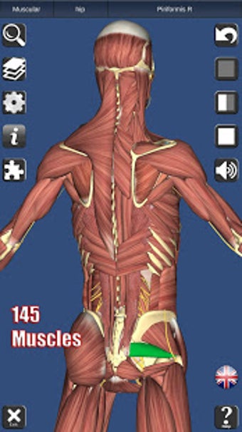 Imagen 3 para 3D Anatomy