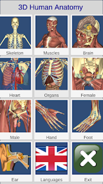 Imagen 0 para 3D Anatomy