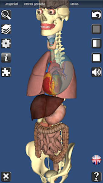 Imagen 1 para 3D Anatomy
