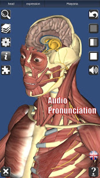 Imagen 2 para 3D Anatomy