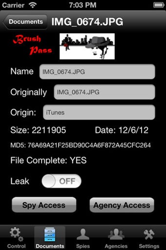 Image 1 for Brush Pass