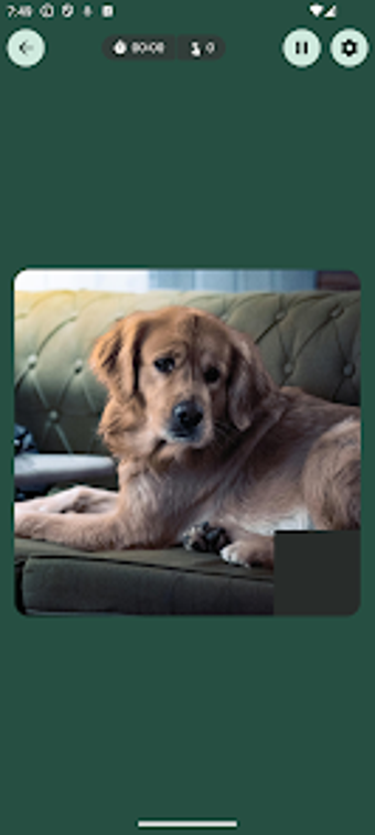 Imagen 0 para Allora Puzzle - Jigsaw & …