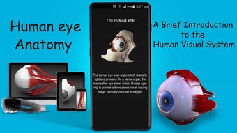 Imagen 1 para Human eye anatomy 3D