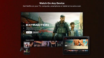 Image 0 for Netflix 