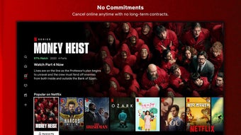 Image 3 for Netflix 
