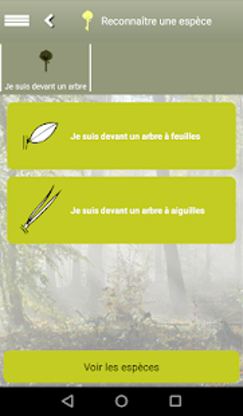 Imagen 3 para Cls de fort