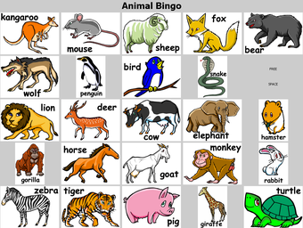 Image 0 for BingoCardMaker
