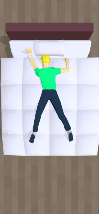 Image 2 for Bed Diving