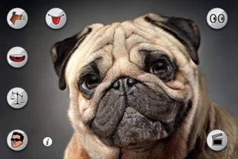 Image 0 for Talking Puppy