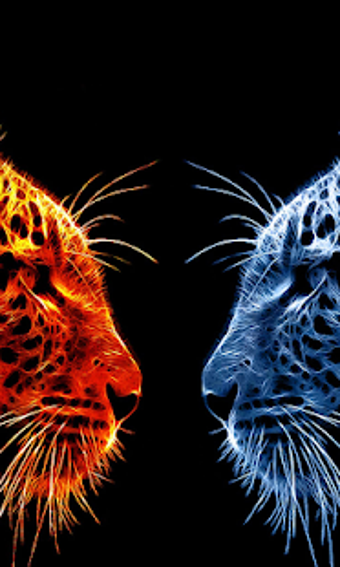 Image 0 for Fire And Ice Live Wallpap…