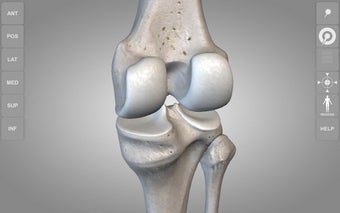 Imagen 0 para Skeleton | 3D Anatomy