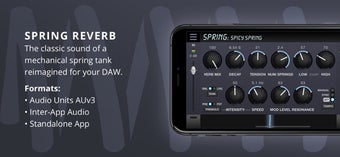 Imagen 2 para Spring Reverb