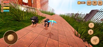 Image 2 for Home Pet Parrot Simulator