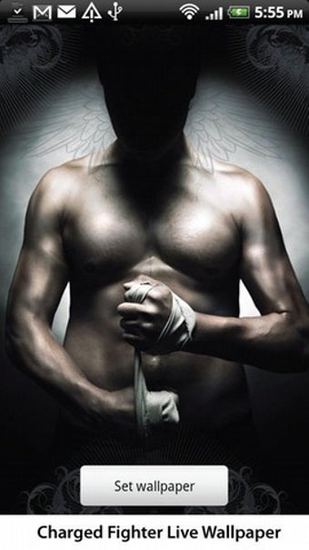 Imagen 0 para Charged Fighter Live Wall…