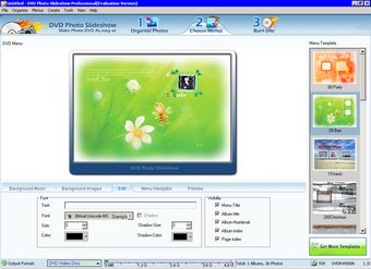 Imagen 0 para DVD Photo Slideshow Profe…