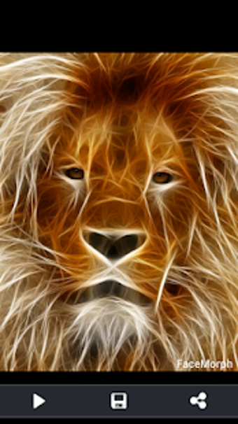 Image 0 for Face Morph