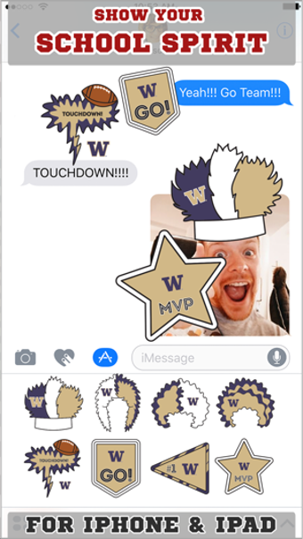 Image 0 for Washington Huskies Sticke…
