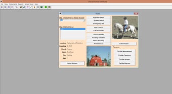 Imagen 0 para Visual Horse