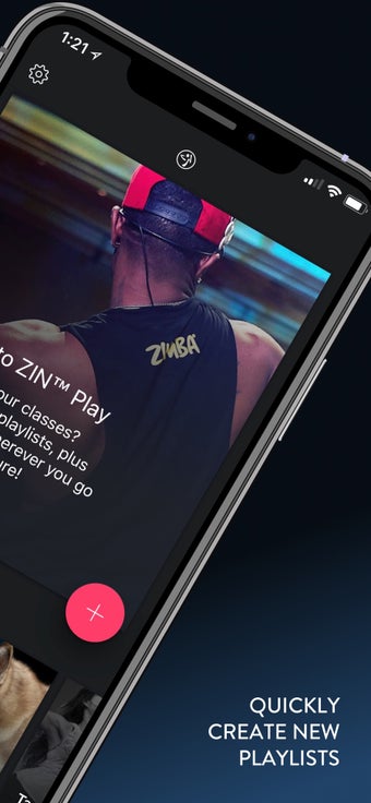 Image 2 for ZIN Play