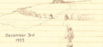 Image 3 for If Found...
