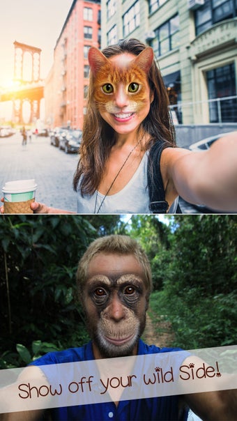 Imagen 0 para Animal Faceswap- Best Fac…