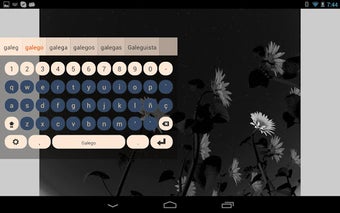 Imagen 3 para Galego Keyboard Plugin