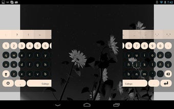 Imagen 2 para Galego Keyboard Plugin