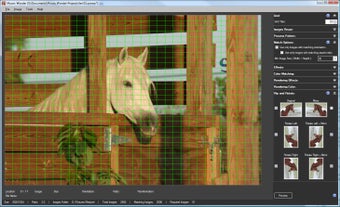 Image 0 for Mosaic Wonder