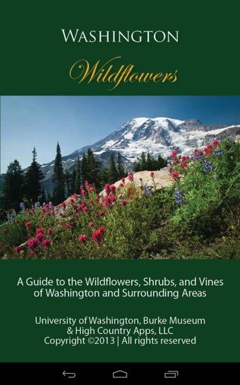 Image 0 for Washington Wildflowers