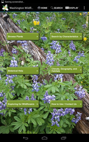 Image 2 for Washington Wildflowers